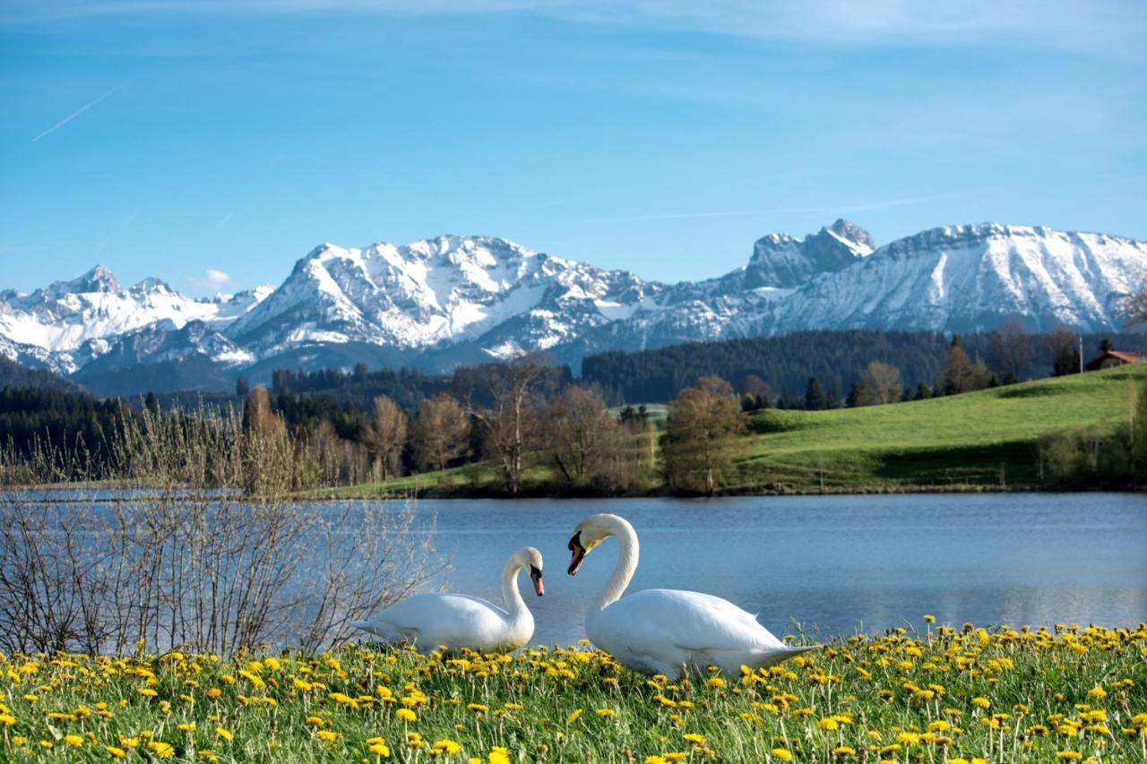 Direkt Am See Mit Bergblick Seeg Bagian luar foto